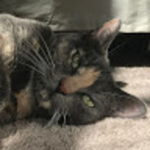 Meet your Posher, Kelli